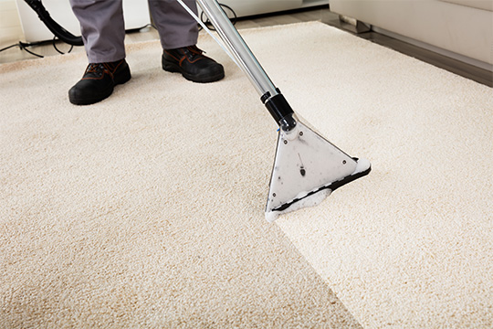 Person cleaning a carpet 